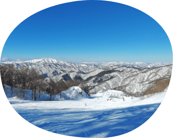 sightseeing-img グランスノー奥伊吹